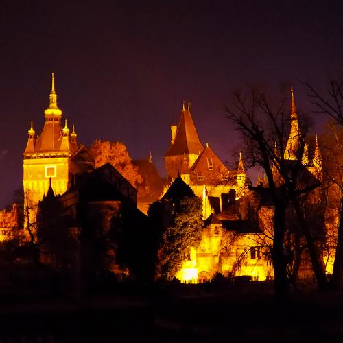 Photo #1543231