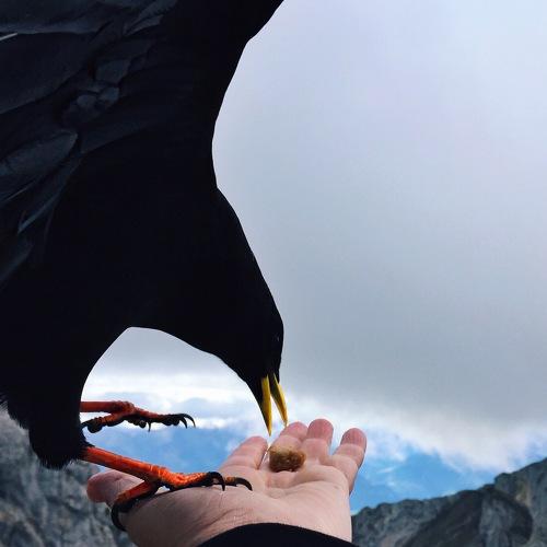 Nature Touch