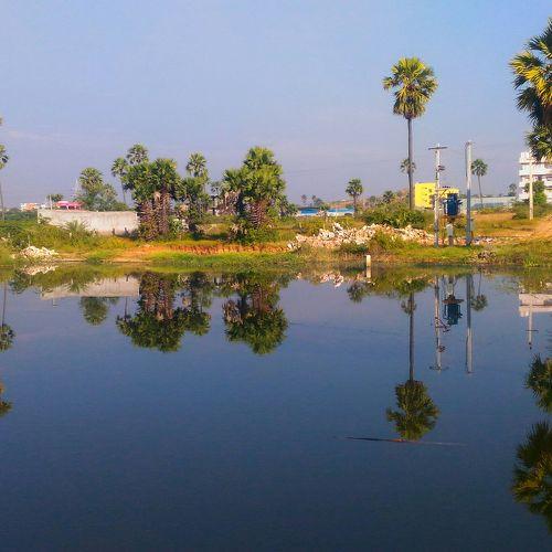 Lake view (landscape)