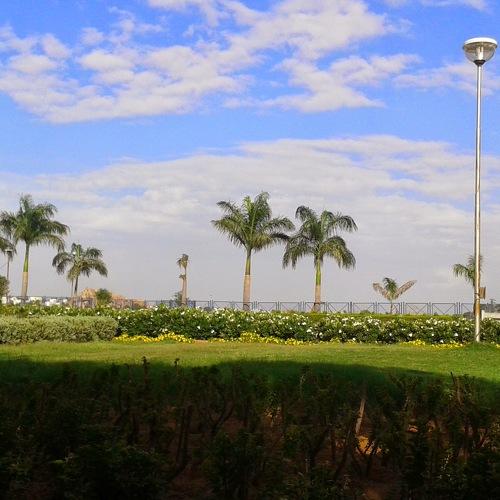 Land scape