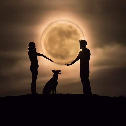 To the moon and back