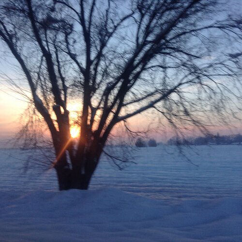 Winter