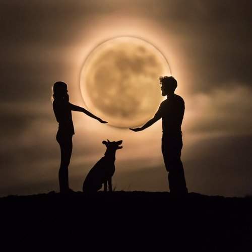 To the moon and back...