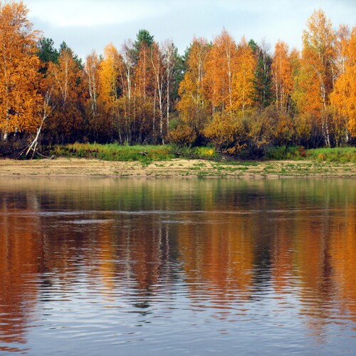 Начало осени.
