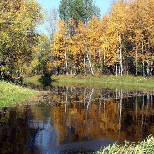 Скоро осень.