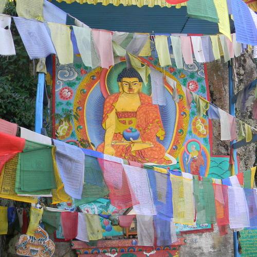 Trail to happiness and wisdom