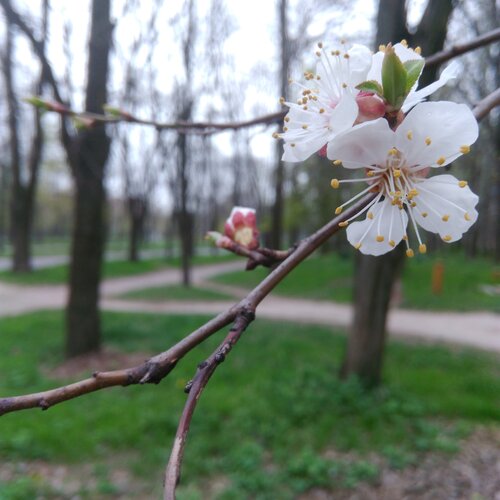Photo #1554574