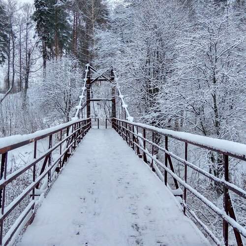 Bridge