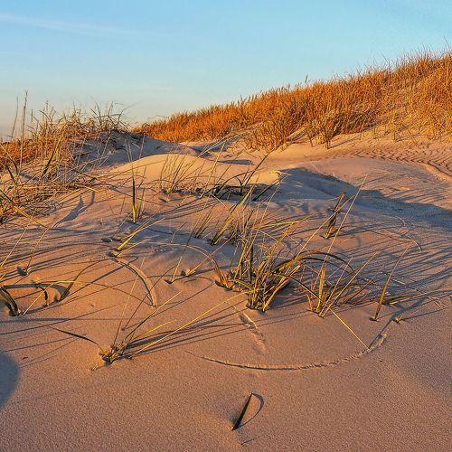 dunes 10