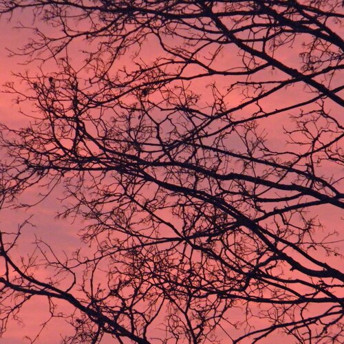 Photo #1560942