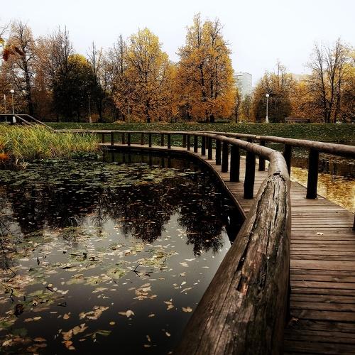 Bridge