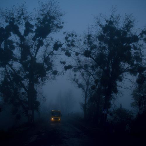 Morning fog
