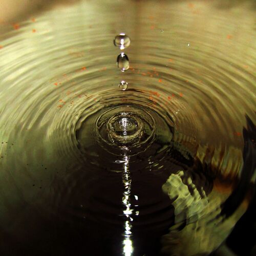 Ripples of Life