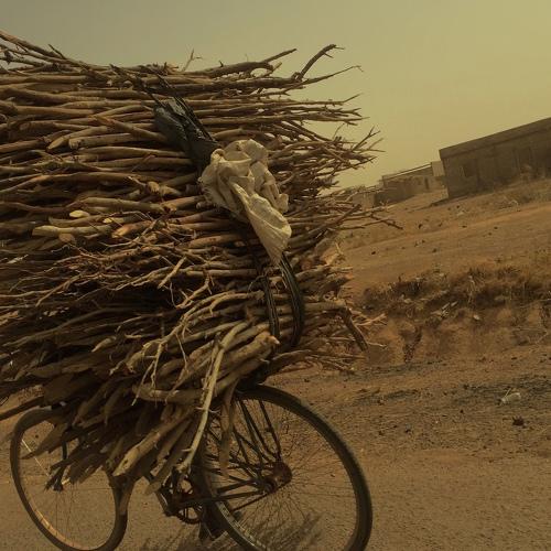 Fire Wood on the move!