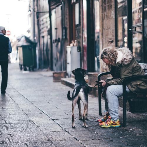 Photo #1566196