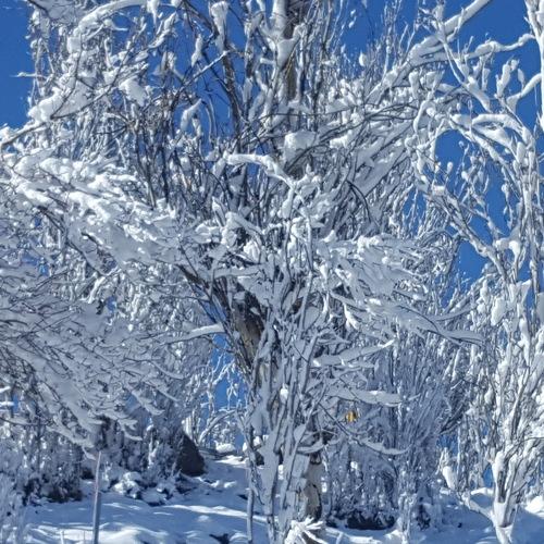Snowy valley