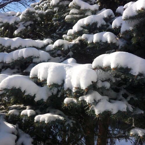 Photo #1573209
