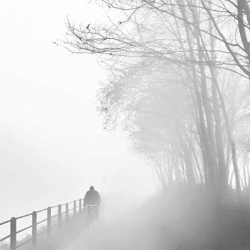 man fog