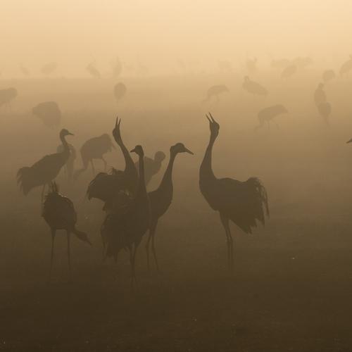 Hula Lake Park