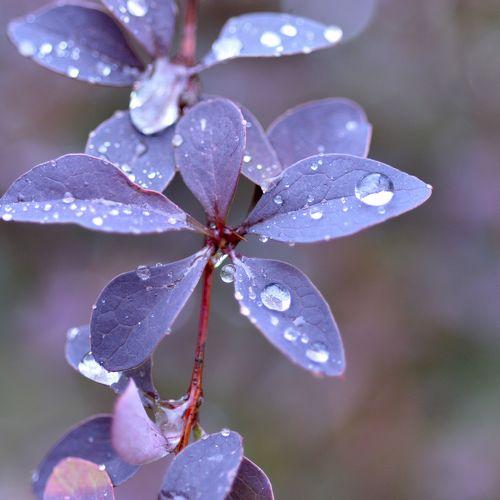 Photo #1574817