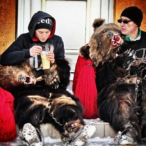 Bears having breakfast