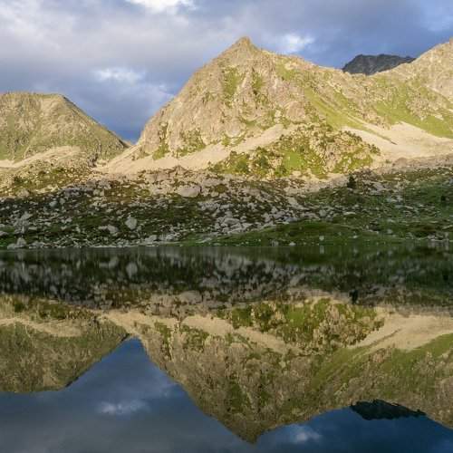reflection
