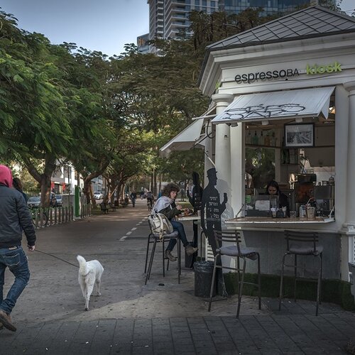 Photo #1578999