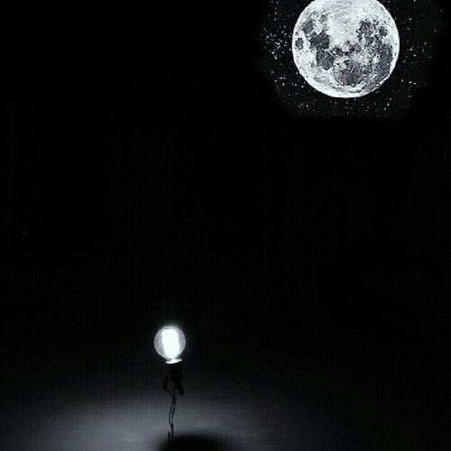 Moon flower