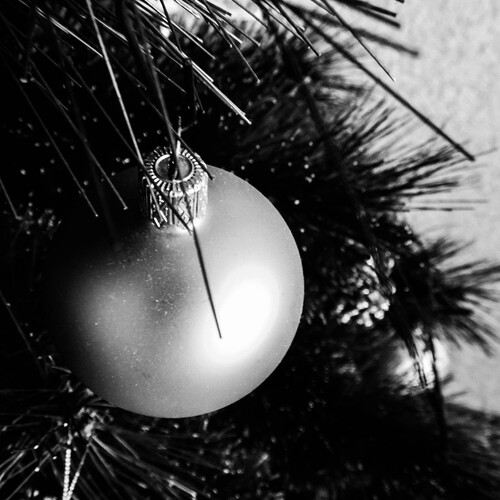 Photo #1583612