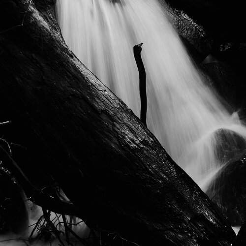 solitude with nature