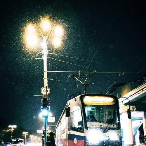 Photo #1585191
