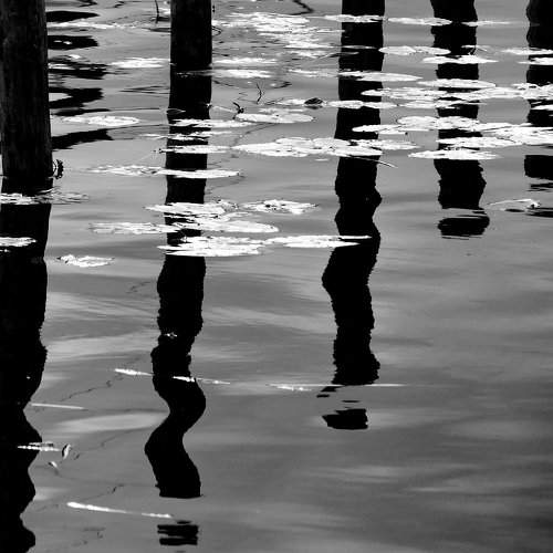Reflections on my mind