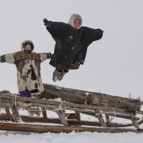 Полет куропатки