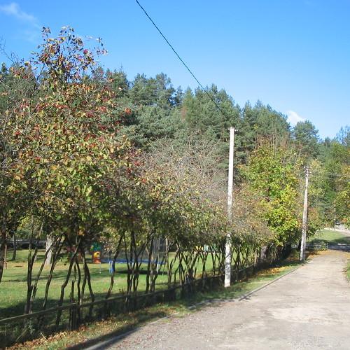 Дорога уходит вдаль