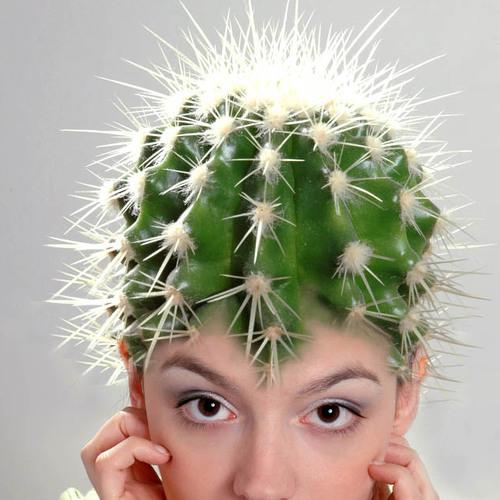 Mood of my Flora