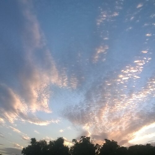 Photo #1586662