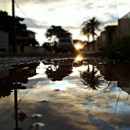 Espelho d'água em poça urbana