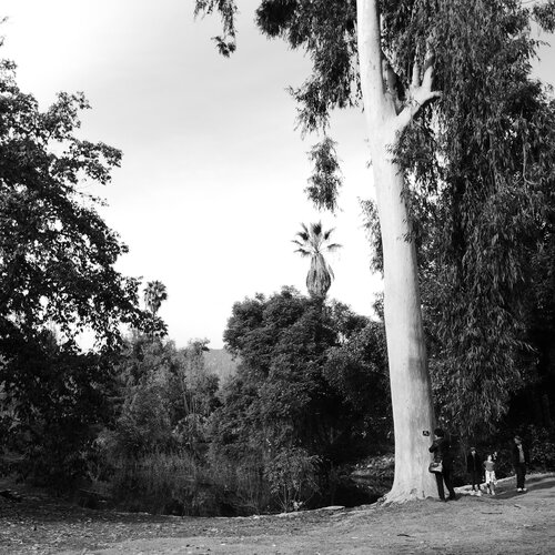 The Great Nature
