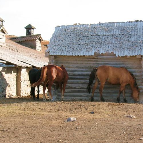 дон