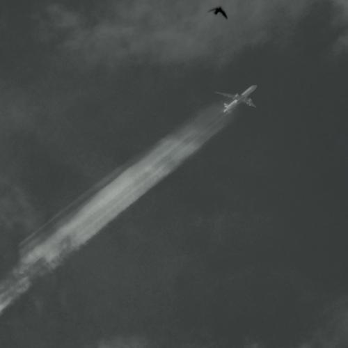 Flying high!