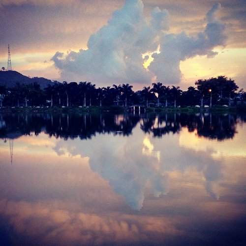 Photo #1591476