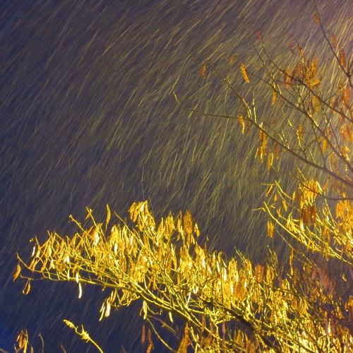 Snow warmth