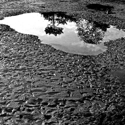 Reflection