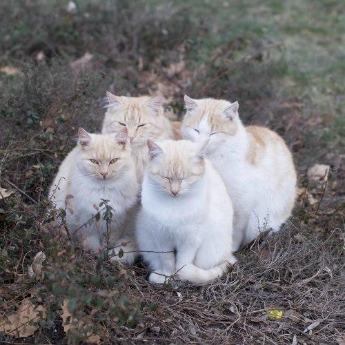 Вместе теплее