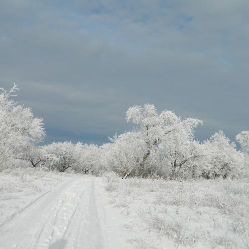 Дорога в зимнюю сказку.