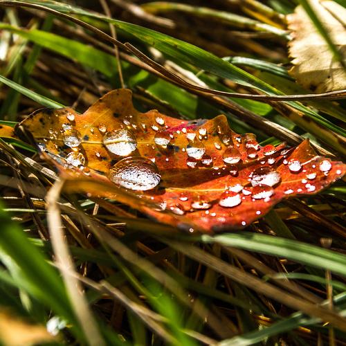 Photo #1594802