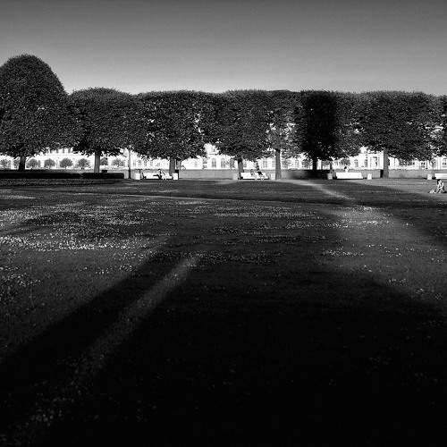 Shadows / Тени
