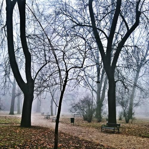 mist