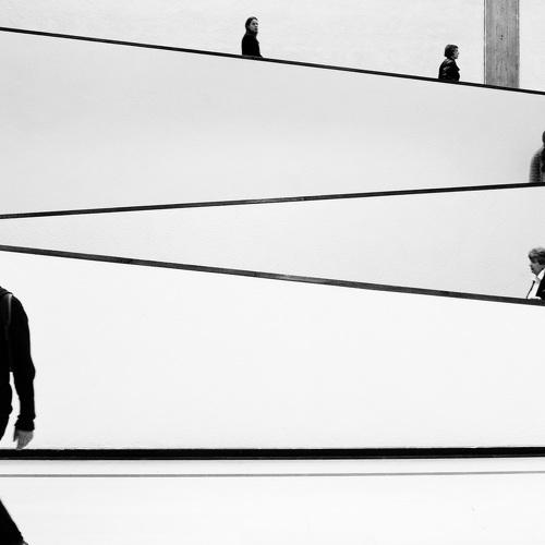 Lines