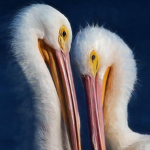 Love Story